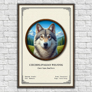 Poster Série de Zoologia do Cão Lobo Checoslovaco