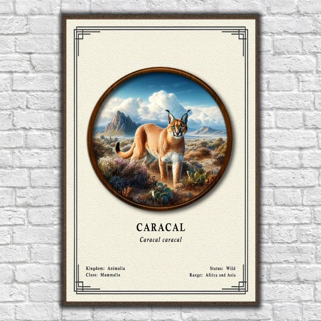 Poster Série de Zoologia do Caracal (Criador carregado)
