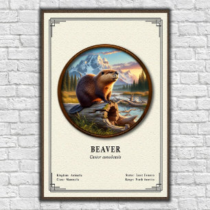 Poster Série de Zoologia do Castor