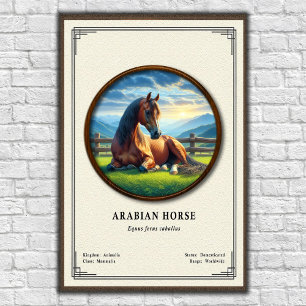 Poster Série de Zoologia do Cavalo Árabe