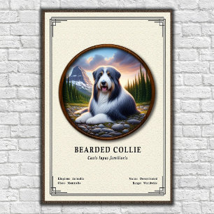 Poster Série de Zoologia do Collie Barbudo