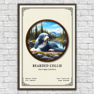 Poster Série de Zoologia do Collie Barbudo