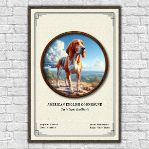 Poster Série de Zoologia do Coonhound Americano