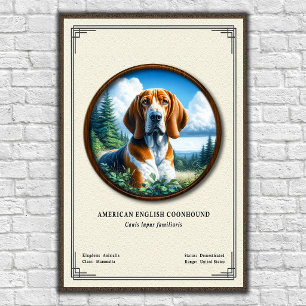 Poster Série de Zoologia do Coonhound Americano
