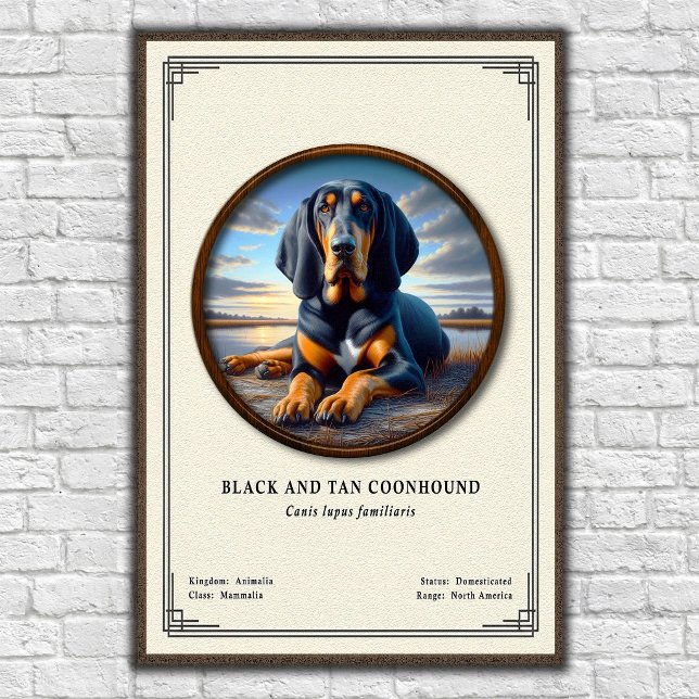 Poster Série de Zoologia do Coonhound Black e Tan (Criador carregado)