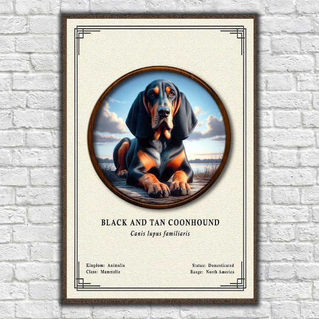 Poster Série de Zoologia do Coonhound Black e Tan (Criador carregado)