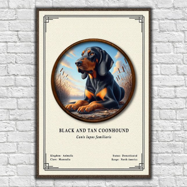 Poster Série de Zoologia do Coonhound Black e Tan (Criador carregado)
