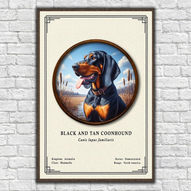 Poster Série de Zoologia do Coonhound Black e Tan (Criador carregado)