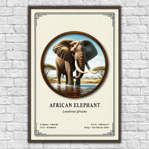 Poster Série de Zoologia do Elefante Africano