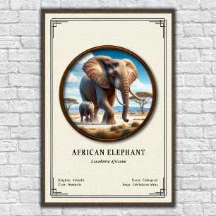 Poster Série de Zoologia do Elefante Africano