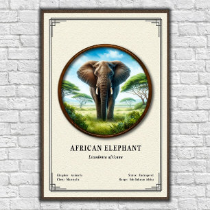 Poster Série de Zoologia do Elefante Africano