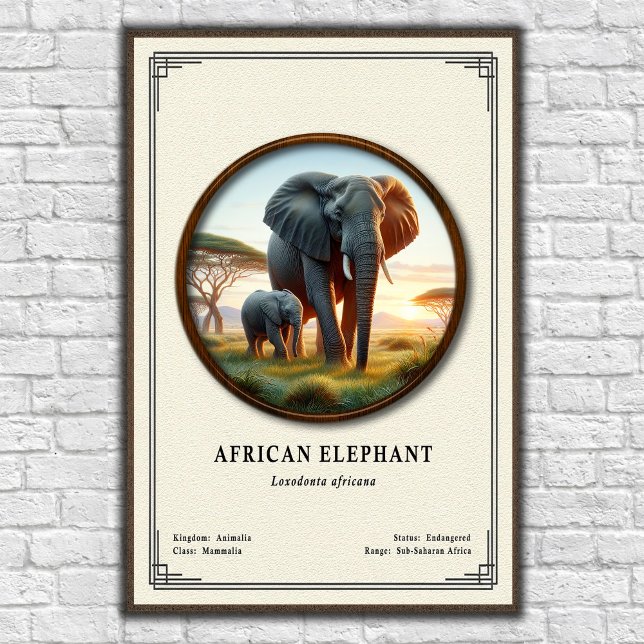 Poster Série de Zoologia do Elefante Africano (Criador carregado)