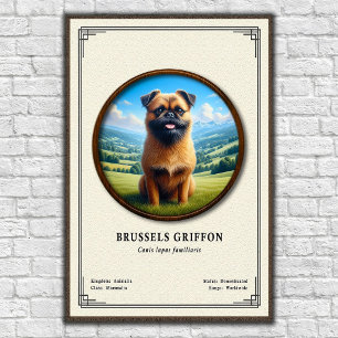 Poster Série de Zoologia do Griffon de Bruxelas