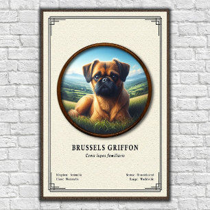 Poster Série de Zoologia do Griffon de Bruxelas