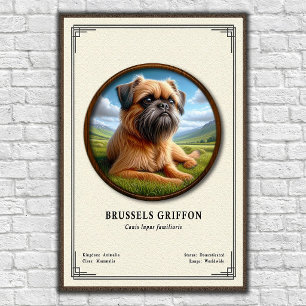 Poster Série de Zoologia do Griffon de Bruxelas