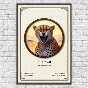 Poster Série de Zoologia do Guepardo