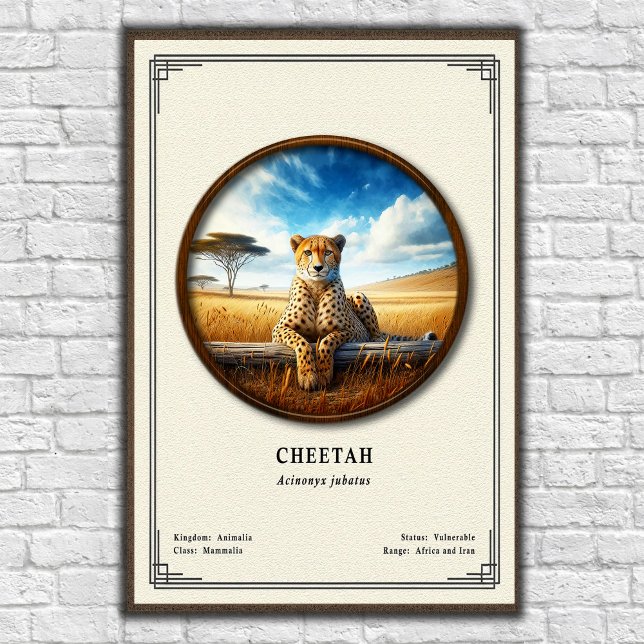 Poster Série de Zoologia do Guepardo (Criador carregado)