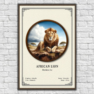 Poster Série de Zoologia do Leão Africano