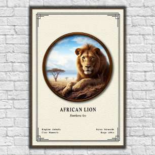 Poster Série de Zoologia do Leão Africano