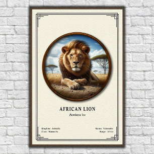 Poster Série de Zoologia do Leão Africano