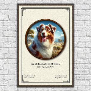 Poster Série de Zoologia do Pastor Australiano