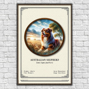 Poster Série de Zoologia do Pastor Australiano