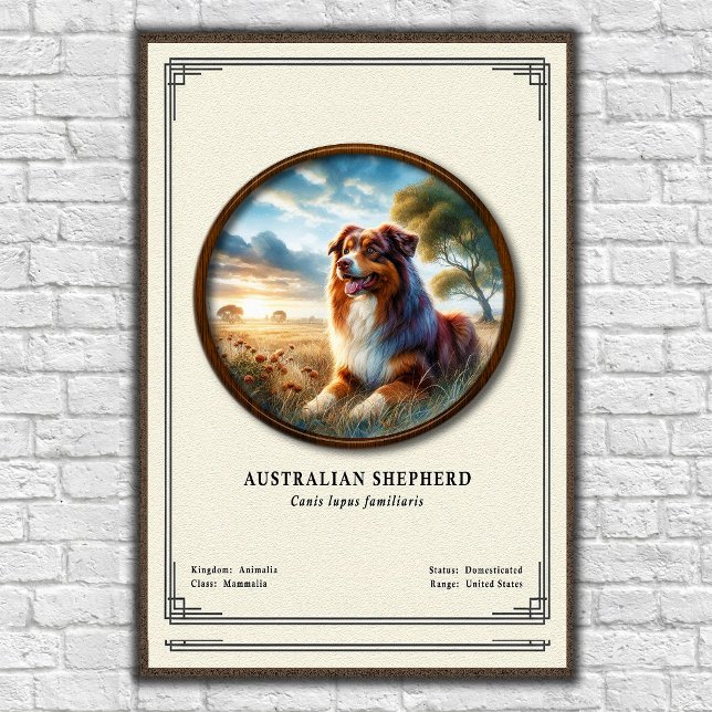 Poster Série de Zoologia do Pastor Australiano (Criador carregado)