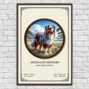 Poster Série de Zoologia do Pastor Australiano