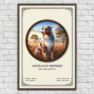 Poster Série de Zoologia do Pastor Australiano