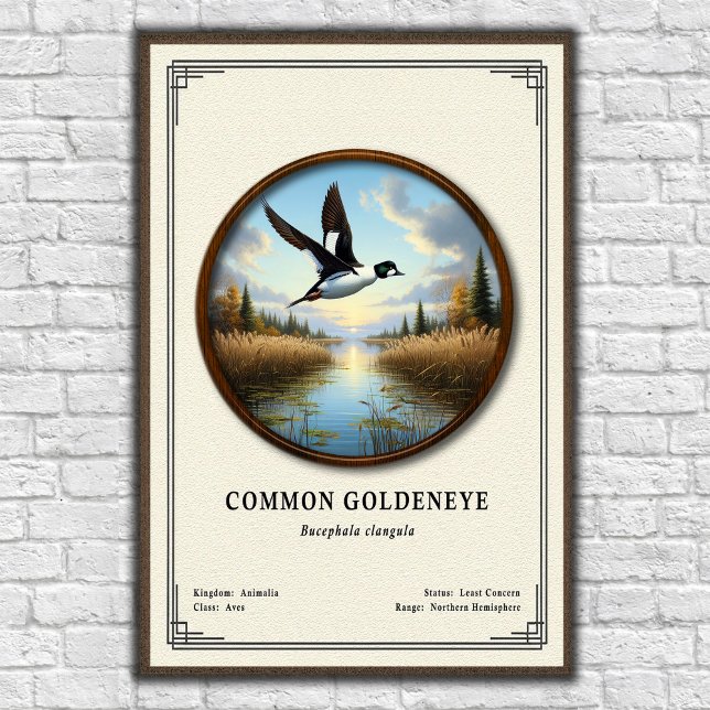 Poster Série de Zoologia do Pato-de-olhos-dourados Comum (Criador carregado)