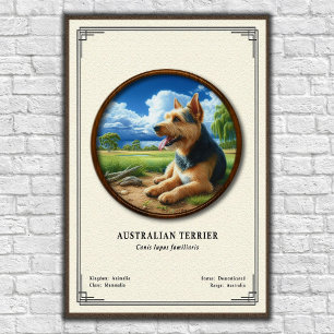 Poster Série de Zoologia do Terrier Australiano