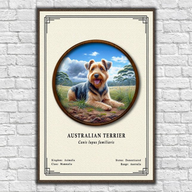 Poster Série de Zoologia do Terrier Australiano (Criador carregado)