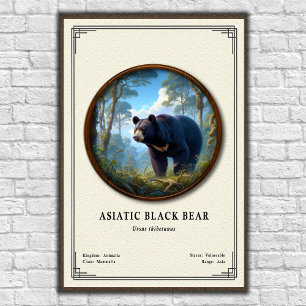 Poster Série de Zoologia do Urso Negro Asiático