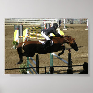 Pôster Série do parque de Estes (1)