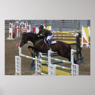 Poster Série do parque de Estes (3)