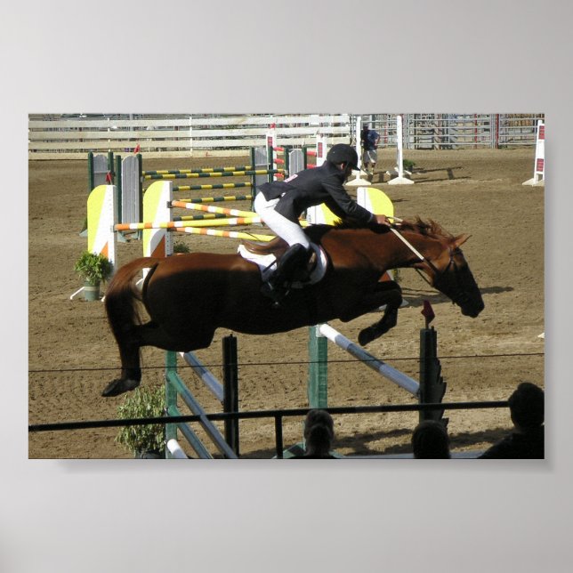 Pôster Série Estes Park (1) (Frente)