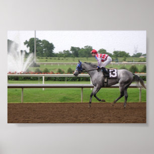 Pôster Série LSP (2)