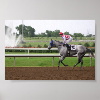 Pôster Série LSP (2)