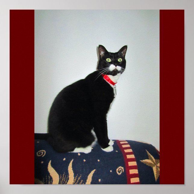 Pôster Sério Lucy (Frente)