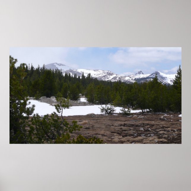 Poster Serra Nevada e neve em Yosemite (Frente)