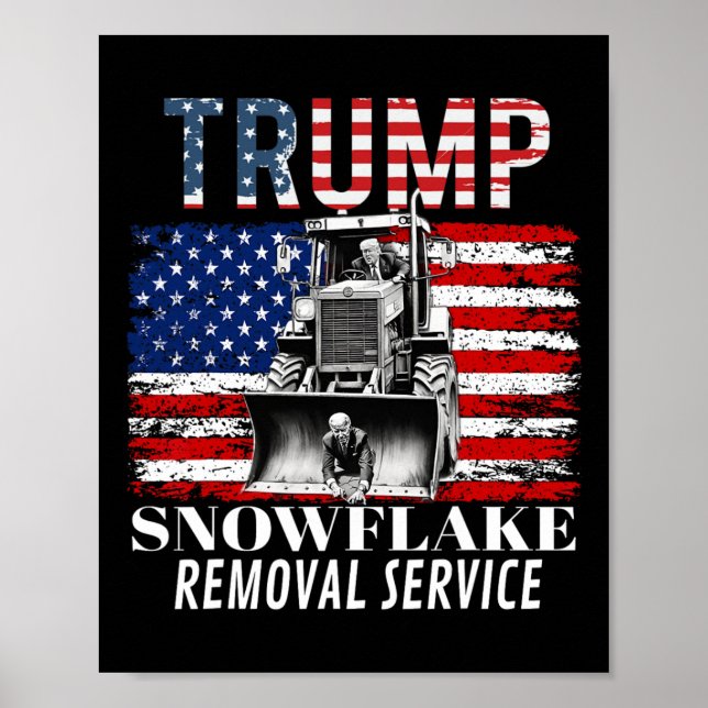 Poster Serviço de Remoção do Floco de Neve Funny Donald T (Frente)