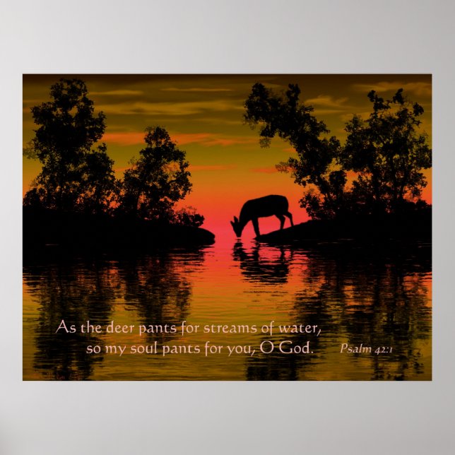 Pôster Sesty (Frente)