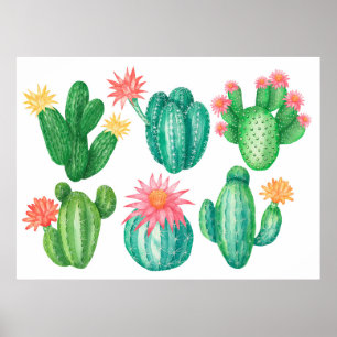 Poster Set of cacti with flowers. Isolated elements on a