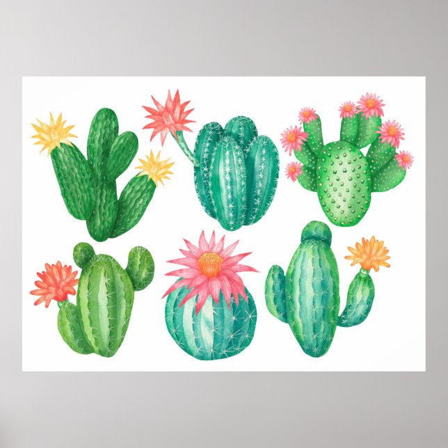 Poster Set of cacti with flowers. Isolated elements on a  (Frente)