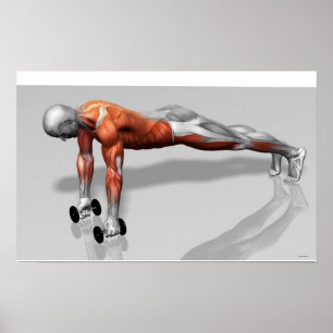 Pôster Setanta levanta 4