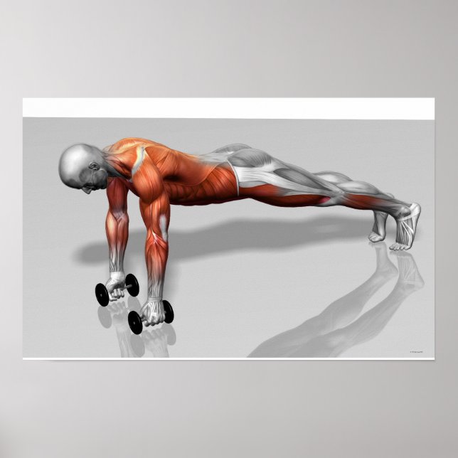 Pôster Setanta Push 4 (Frente)