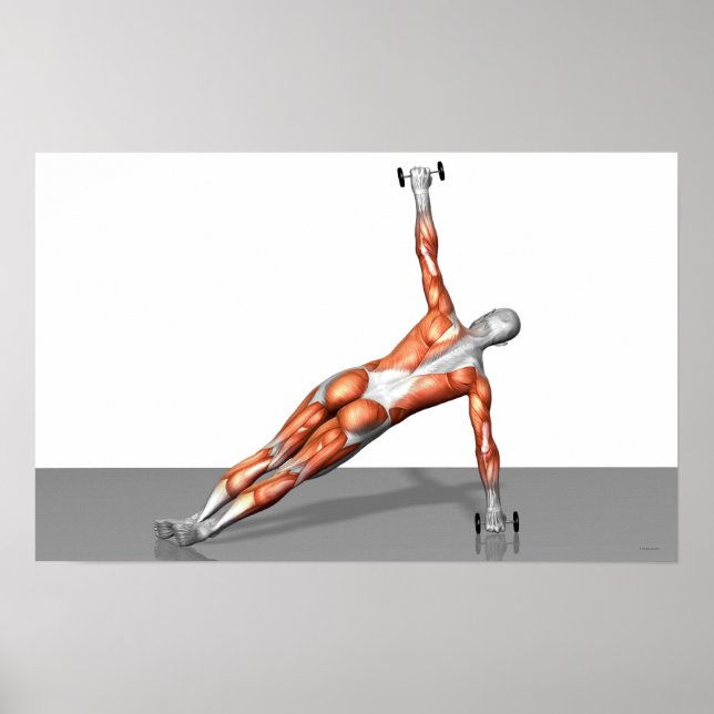 Pôster Setanta Push Up (Frente)