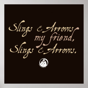 Pôster Setas e Slings