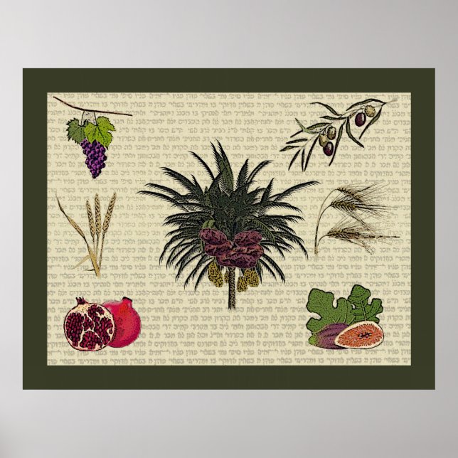 Pôster Sete espécies (Frente)