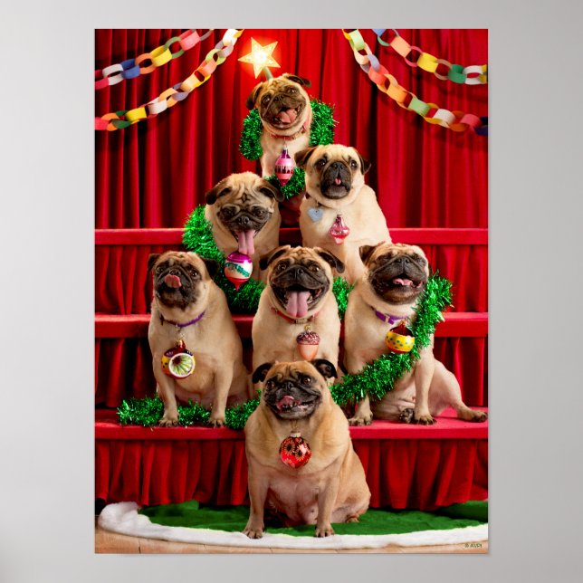 Poster Sete Pugs-a-Posing (Frente)